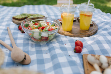 Picnic basket with healthy vegan sandwiches on blue checkered blanket in park. Fresh fruits, vegetables and orange juise. Vegan picnic concept