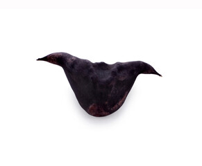 View of black water caltrop water chestnuts shaped like bats (buffalo, bat, devil pod, ling, lin...
