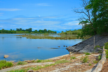 Obraz premium The wetlands of Isola Della Cona in Friuli-Venezia Giulia, north east Italy 