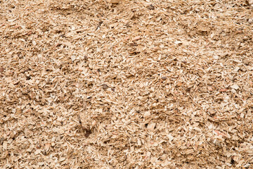 Warehouse with products of woodworking boards and timber