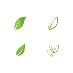 Set Leaf Logo Template vector