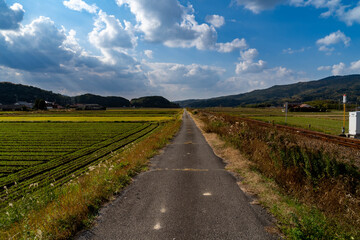Fototapeta na wymiar Local path are running in countryside, JAPAN.
