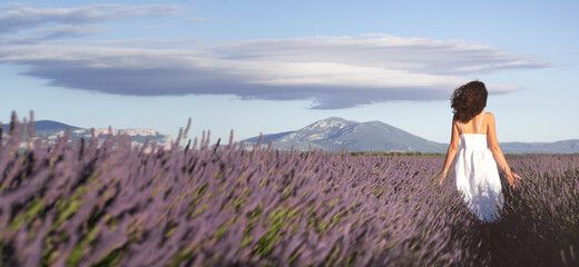 Summertime in lavender. Young beautiful woman in lavender flowers field at sunset in white dress. Provence. France.