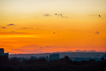 sunset over the city