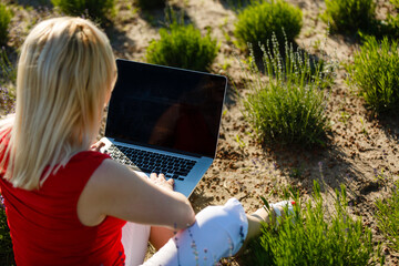 Euphoric woman searching job with a laptop in an urban park in summer