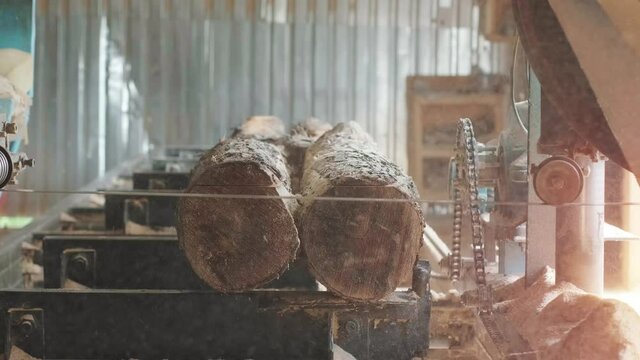 Closeup of cut pine tree log on sawing machine at wood production factory. Timber material processing and cutting at sawmill. Manufacturing process at lumber mill. Sawing woods on power machine