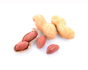 Useful peanut, close-up, isolated on white background.