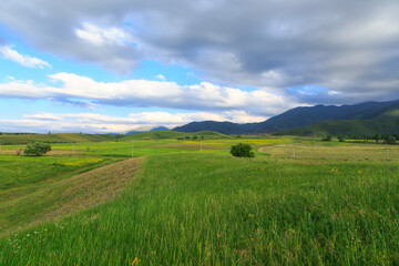 Obraz premium Beautiful spring and summer landscape. Lush green hills. Spring blooming herbs.