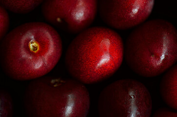 
red cherries on a dark background