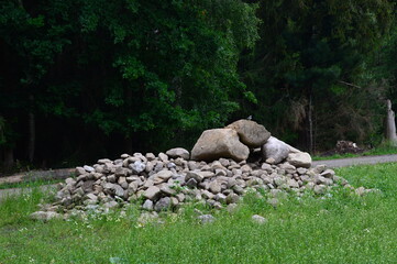 Grundloses Moor, Walsrode, Niedersachsen