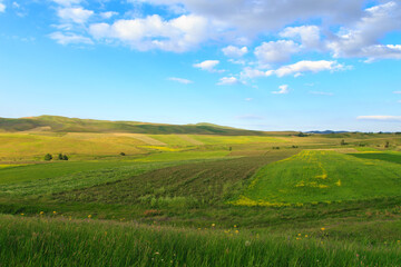 Fototapeta na wymiar Beautiful spring and summer landscape. Lush green hills. Spring blooming herbs.