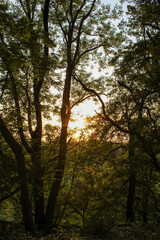 Naklejka premium Sunset