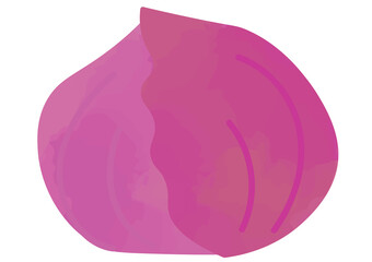ムラサキキャベツのイラスト