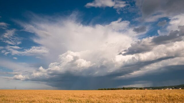Timelapse - Moving thundercloud over a wheat field, Wetterau, Hesse, Germany