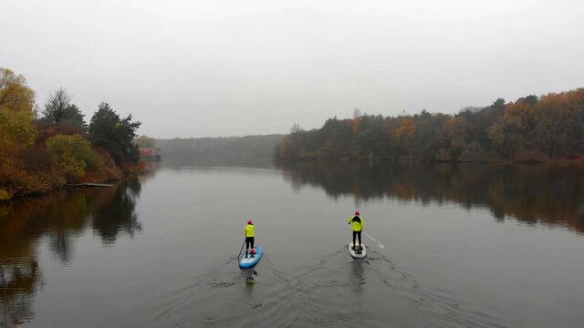 Drone shot of man and woman on sup paddle boards at wide river on golden autumn forest background