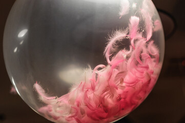 Transparent balloons with pink feathers inside hangs on the party