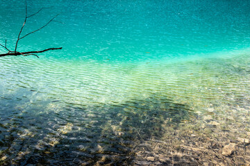 Picturesque morning in Plitvice National Park. Colorful spring scene of green forest with pure water lake. Great countryside view of Croatia, Europe