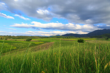 Beautiful spring and summer landscape. Lush green hills. Spring blooming herbs.