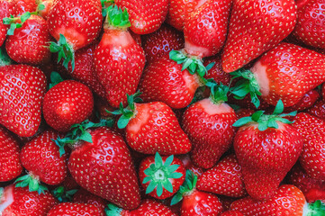 a lot of juicy ripe strawberries - food background