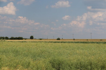 Tykocin nad Narwią