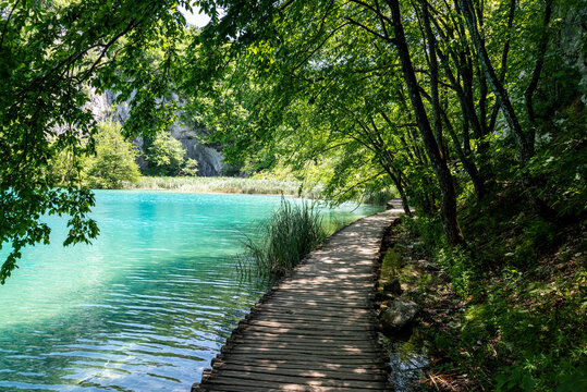 Picturesque morning in Plitvice National Park. Colorful spring scene of green forest with pure water lake. Great countryside view of Croatia, Europe © 26max