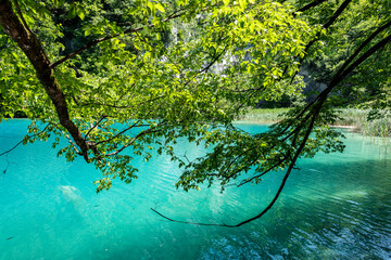 Picturesque morning in Plitvice National Park. Colorful spring scene of green forest with pure water lake. Great countryside view of Croatia, Europe