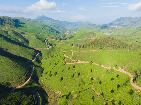 Aerial view of tea plantations near the city of Munar. India.