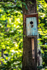 Old Bird House in a park