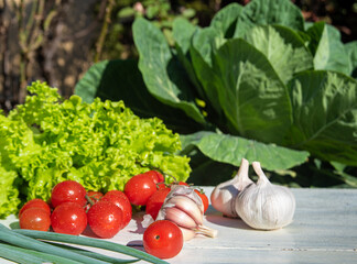 Vegetables and spices on a table with natural light and selected focus