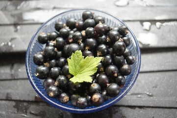 schwarze Johannisbeeren, Abwehr aktiv, Vitamine,C