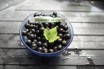 Schwarze Johannisbeeren mit Vitamin C schild