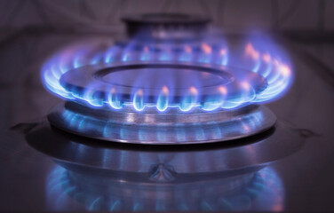 Burning gas burner burns in blue flame