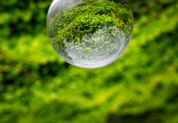 Soap bubbles on the grass