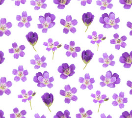 Fototapeta na wymiar small lilac flower. seamless pattern.