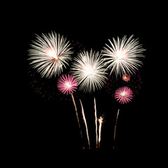 Variety fireworks display on night sky