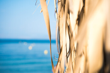 Natural palm leaf tiki hut umbrella. Straw beach umbrella background close up background
