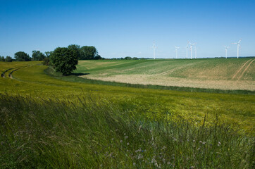 Feld und Windräder