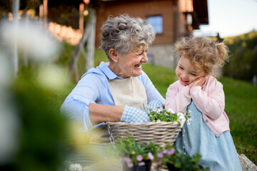 Senior grandmother with small granddaughter gardening outdoors in summer, laughing.