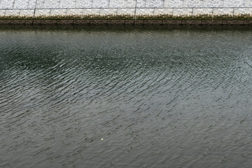 下関市武久の汽水域