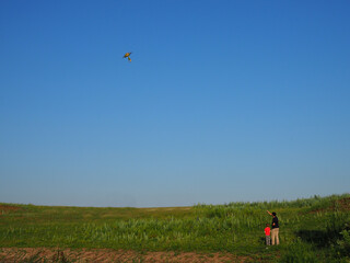 happy family in summer nature. Dad and son child flying a kite