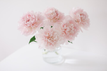 Fototapeta na wymiar Beautiful pink peonies in a vase at home interior. Flower composition. Floral shop concept. Beautiful fresh cut bouquet. copyspace