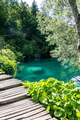 Fototapeta premium Picturesque morning in Plitvice National Park. Colorful spring scene of green forest with pure water lake. Great countryside view of Croatia, Europe