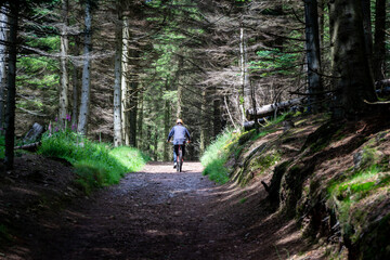 Mountain biker rides between the trees on bike singletrack trail. Selective focus