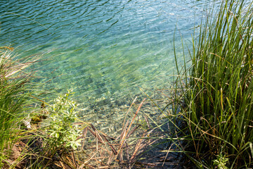 Picturesque morning in Plitvice National Park. Colorful spring scene of green forest with pure water lake. Great countryside view of Croatia, Europe