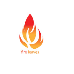fire leaf color illustration. vector design