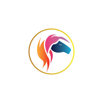 ponny horse colorful logo circle design vector