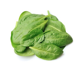 Spinach leaves isolated