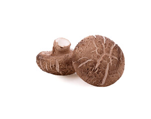 Fresh Shiitake mushroom isolated on white background
