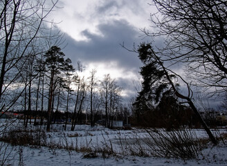 small pond in winter, outskirts of Moscow