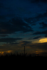 Obraz premium Wonderful Sunset